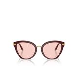 Dolce & Gabbana Kadın Güneş Gözlüğü 0DG4492553091P5