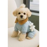 Dolce Pets Kedi Köpek Kıyafeti Ayıcıklı Tulum Mont