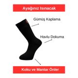 Doliche 3'lü Erkek Termal Çorap (Patentli Gümüş İplikli) Çift Katmanlı Sıcak Etki TGÇ314587695