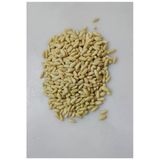 Dolmalık Çam Fıstığı 1 Kg