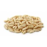 Dolmalık Fıstık 100 Gr Çam Fıstığı 1. Kalite Dolmalık Çam Fıstığı