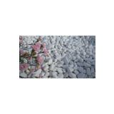 Dolomit Taş 10 Kg 15-25 Mm Dekoratif Vazo Akvaryum Teraryum Taşı Beyaz Dolomit Taşı renkli