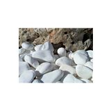 Dolomit Taş 15 Kg 4-6 Cm Beyaz Dolomit Bahçe Taşı Çakıl Taşı Saksı Taşı Akvaryum Teraryum Taşı