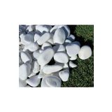 Dolomit Taş 2 Kg 2-4 Cm Beyaz Dolomit Bahçe Taşı Çakıl Taşı Saksı Taşı Akvaryum Teraryum Taşı