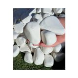 Dolomit Taş 3 Kg 6-10 Cm Beyaz Dolomit Bahçe Taşı Çakıl Taşı Saksı Taşı Akvaryum Teraryum Taşı