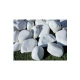 Dolomit Taş 4 Kg 4-6 Cm Beyaz Dolomit Bahçe Taşı Çakıl Taşı Saksı Taşı Akvaryum Teraryum Taşı