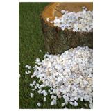 Dolomit Taş 50 Kg 0,5-1 Cm Karışık Renkli Çakıl Taşı Saksı Taşı Dere Taşı Akvaryum Teraryum Taşı