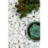 Dolomit Taş 6 Kg 15-25 Mm Dekoratif Vazo Akvaryum Teraryum Taşı Beyaz Dolomit Taşı renkli