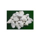 Dolomit Taş 8 Kg 25-40 Mm Dekoratif Vazo Akvaryum Teraryum Taşı Beyaz Dolomit Taşı renkli