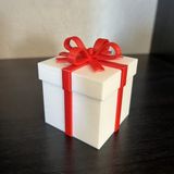 Dolozena 3D Baskı Kapağı Açılabilir Hediye Kutusu Kurdele Detaylı Mini Sürpriz Kutusu Beyaz Kırmızı