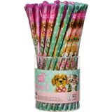 dolphin kurşun kalem studio pets pt-6372 (60 lı paket) - Yok
