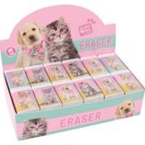 Dolphin Silgi Studio Pets Pt-782 (48 Li Paket)