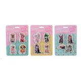 Dolphin Studio Pets Pt-783 Blisterli Silgi Seti