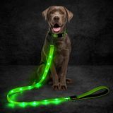 Domagiker Led Köpek Tasması, Gece Yürüyüşü için 5 Ft Işıklı Köpek Tasması, Parlayan Pet Tasma USB Şarj Edilebilir, Yumuşak Yastıklı Saplı Naylon Yanıp Sönen Köpek Tasması (Yeşil)