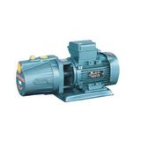 Domak JET300-2 3hp 220 Volt Döküm Gövdeli Jet Pompa