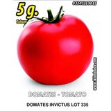 Domates Tohumu İnvictus Lot 335 Pk 5g (~ Takribi 750 Tohum)