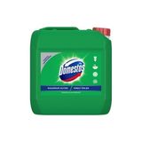 Domestos 3,2 Lt Çamaşır Suyu Normal Kullanım için Çam Ferahlığı ile Üretilmiştir