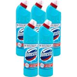 Domestos Çamaşır Suyu 750 ml Okaliptüs Ferahlığı, 5' Li