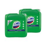 Domestos Çamaşır Suyu Çam Ferahlığı 2 x 3,24 lt