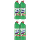 Domestos Çamaşır Suyu Dağ Esintisi 750 Ml Çamaşır Suyu 4'Li