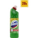Domestos Çamaşır Suyu Dağ Esintisi 810 Gr 20Li Set