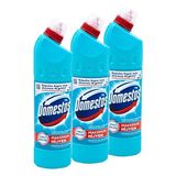 Domestos Çamaşır Suyu Okaliptüs Ferahlığı 750 ml 3'lü