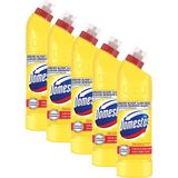 Domestos Limon Ferahlığı Çamaşır Suyu 750 ml x 5 Adet