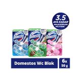 Domestos Okyanus + Çam + Manolya Wc Blok Tuvalet Bloğu 3'lü