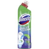 Domestos Tuvalet Temizleyici Çamaşır Suyu 750 Ml 2 Adet
