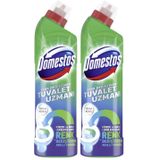 Domestos Tuvalet Temizleyici Renk Değiştiren Tuvalet Uzmanı Kireç Çözücü 750 ml 1 Adet (2 paketi)