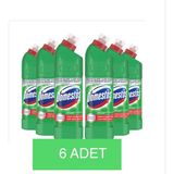 Domestos Yoğun Çamaşır Suyu - 810 ml