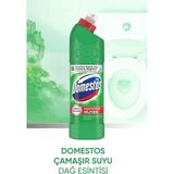 Domestos Yoğun Kıvamlı Çamaşır Suyu Dağ Esintisi 806 gr Dmsts - 750 ml