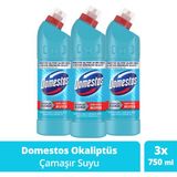 Domestos Yoğun Kıvamlı Çamaşır Suyu Okaliptüs Ferahlığı 750 ml X3 - 2,25 lt