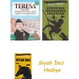 Domingo Yayınevi Görsel, Mantıksal ve Bilişsel Beceri Etkinlikleri (7-9 Yaş) - Teresa Hala’nın Soruşturmaları 1 (Çıkartmalı) + Dünyanın Merkezine Yolculuk + Siyah Inci Hediye - Hayır