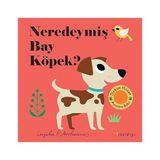 Domingo Yayınevi Neredeymiş Bay Köpek? (Ciltli): (Dokun, Hisset, Aynaya Bak!) + Robotik Kodlama Etkinliklerim + 22 Kitap Set