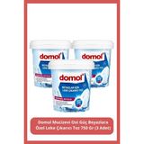 Domol Mucizevi Oxi Güç Beyazlara Özel Leke Çıkarıcı Toz 750 gr (3 Adet) - 2,25 lt