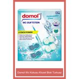 DOMOL Wc Kokusu Klozet Blok Turkuaz