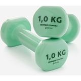 Domyos 1 kg Demir Dambıl - 2 Adet - Yeşil - Fitness Hafif Antrenman - 27,5 kg