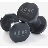 Domyos 3 kg Demir Dambıl - 2 Adet - Gri - Fitness Hafif Antrenman - 27,5 kg