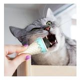 Dondurma Şeklinde Kedi Nanesi Kedi Otu