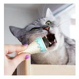 Dondurma Şeklinde Kedi Otu Nanesi