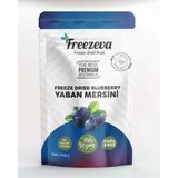 Dondurularak Kurutulmuş Yaban Mersini 20 Gr - Freeze Dried Yaban Mersini - Yaban Mersini Meyve Cipsi
