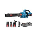 Dongcheng Dclb40171 40V Akülü Yaprak Üfleme Makinesi 2X20v 5.0Ah Çift Akülü