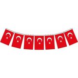 Doop Orta Ipli Kağıt Türk Bayrağı - 40 Adet - 13 x 8cm