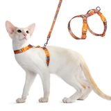 Dooradar Kedi Koşum Takımı ve Tasma, Kaçış Korumalı Ayarlanabilir Yavru Kedi Koşum, Hafif Yumuşak Evcil Hayvan Koşum, Küçük Orta Kediler için Kolay Giyme, Güvenli Yürüyüş Seyahat Kontrolü, Turuncu ve