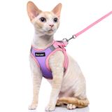 Dooradar Kedi koşum takımı ve tasma seti, yürüyüş için, mor ve pembe, S