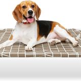 Dopliv Yükseltilmiş Köpek Yatağı - Küçük Köpekler için Yükseltilmiş Köpek Yatağı, Taşınabilir İç ve Dış Mekan Köpek Karyolası Yatağı, Yumuşak ve Rahat Köpek Yatağı, Kamp veya Plaj için Evcil Hayvan