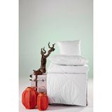 Doqu Home Bellona Festival Microfiber Yorgan Tek Kişilik - Beyaz - 155 x 215 cm - 010 - Beyaz