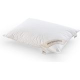 Doqu Home Delu x e Kaz Tüyü Yastık - 50 × 70 cm - Beyaz