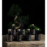 Doqu Home Sandal Wood Çubuklu Oda Kokusu - 200 ml - Şeffaf